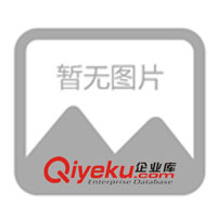 供应DYJI(DYJ1—1)型气压计